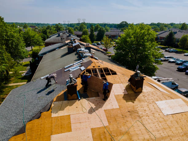 Best Flat Roof Repair Services  in Poseyville, IN